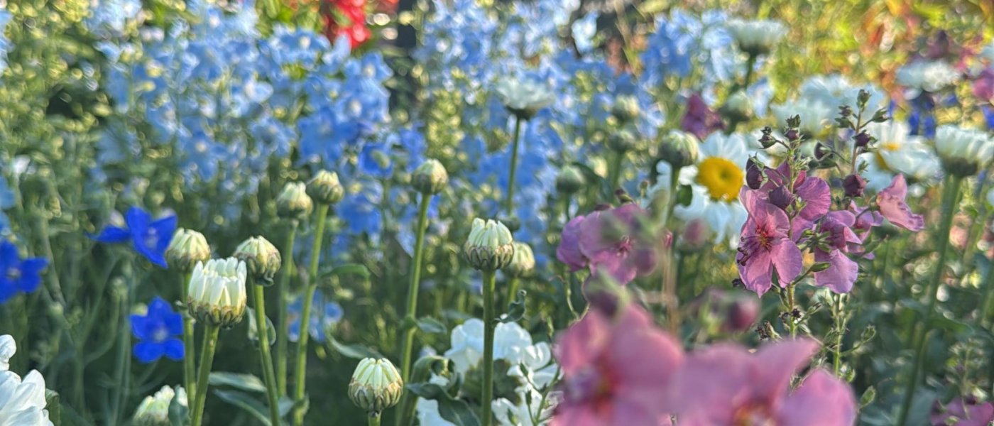 Kompozycje florystyczne